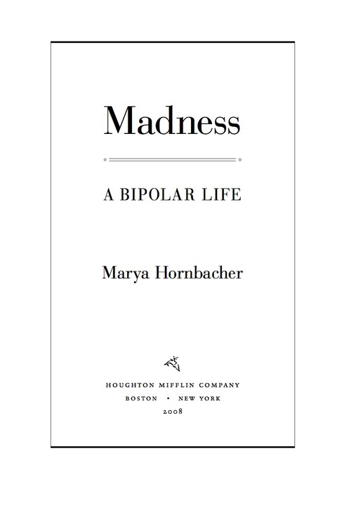 Cover image for book Madness