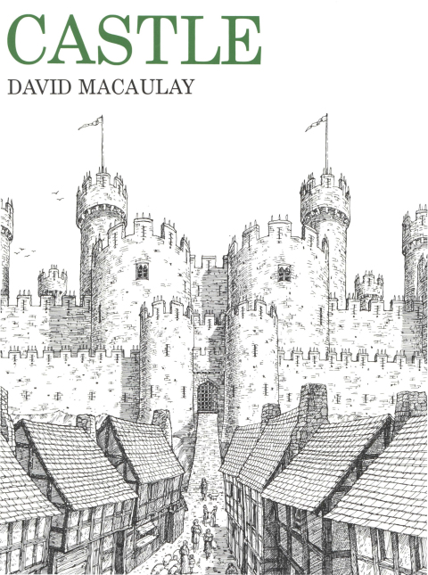 Cover image for book Castle