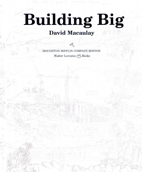 Cover image for book Building Big
