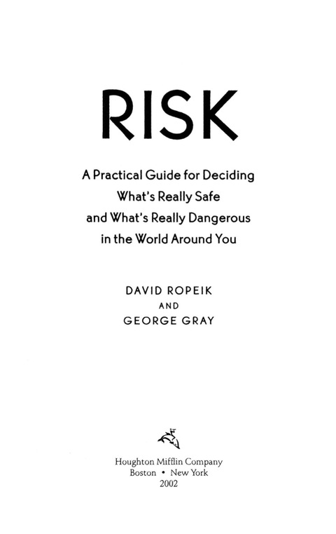 Cover image for book Risk