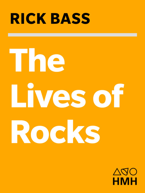 Cover image for book The Lives of Rocks