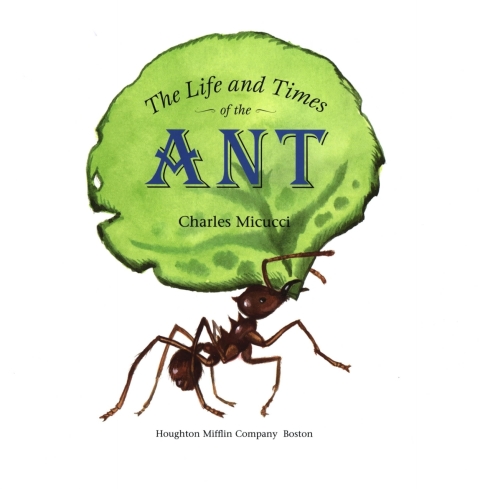 Cover image for book The Life and Times of the Ant