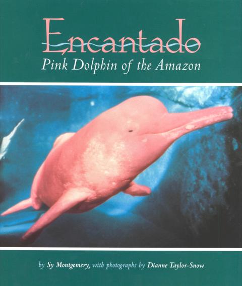 Cover image for book Encantado