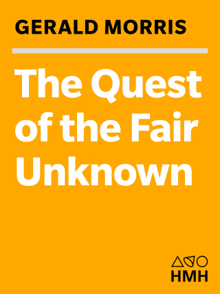 The Quest of the Fair Unknown