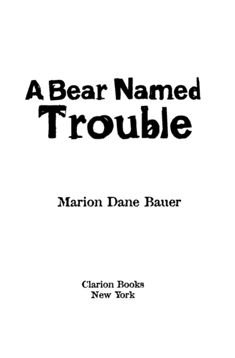 Cover image for book A Bear Named Trouble