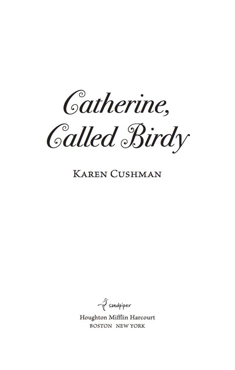 Cover image for book Catherine, Called Birdy