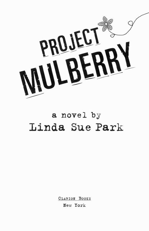 Cover image for book Project Mulberry