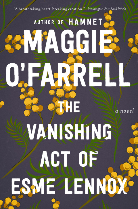 Cover image for book The Vanishing Act Of Esme Lennox