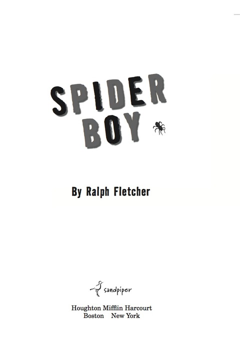 Cover image for book Spider Boy