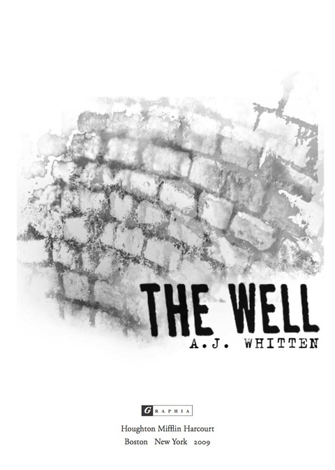 Cover image for book The Well