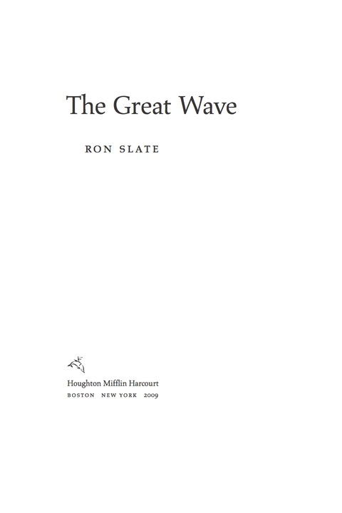 Cover image for book The Great Wave