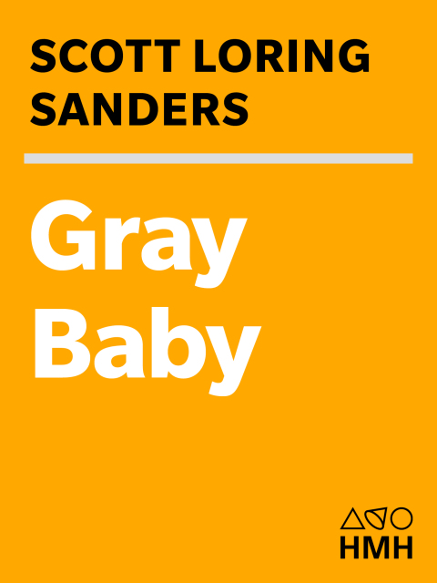 Cover image for book Gray Baby