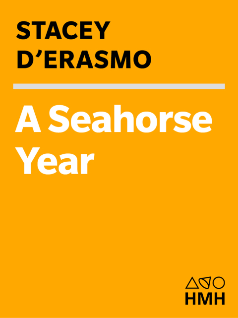 Cover image for book A Seahorse Year