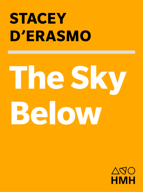 Cover image for book The Sky Below
