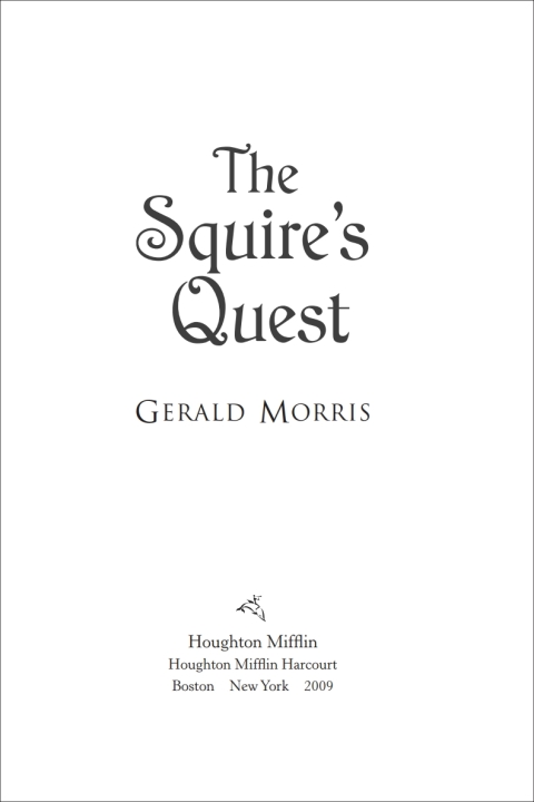 Cover image for book The Squire's Quest