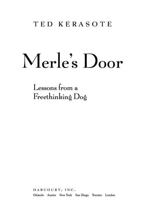 Cover image for book Merle's Door