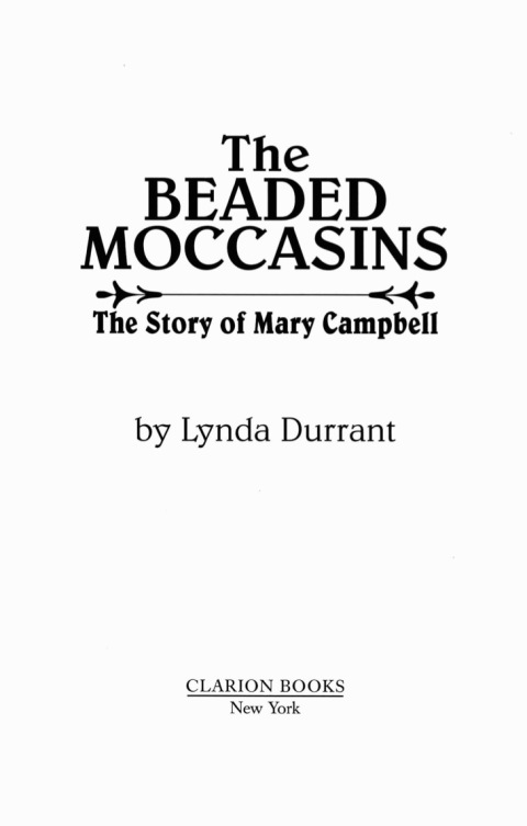 Cover image for book The Beaded Moccasins