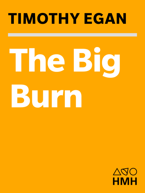 Cover image for book The Big Burn