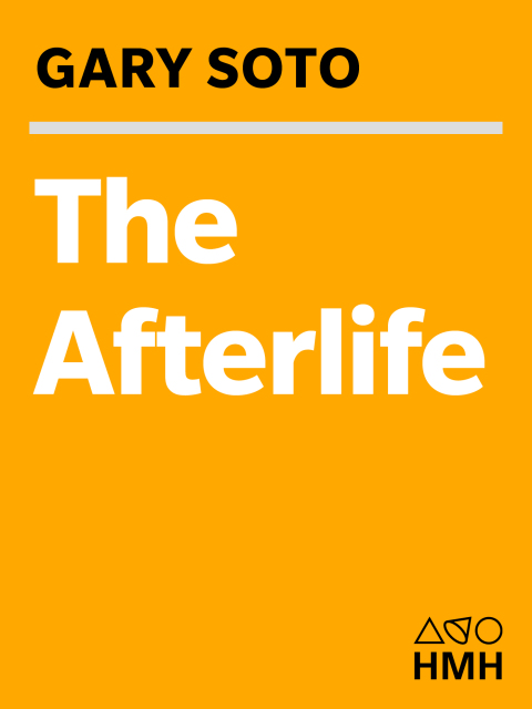 Cover image for book The Afterlife