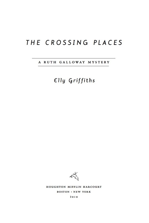 Cover image for book The Crossing Places