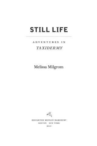 Still Life