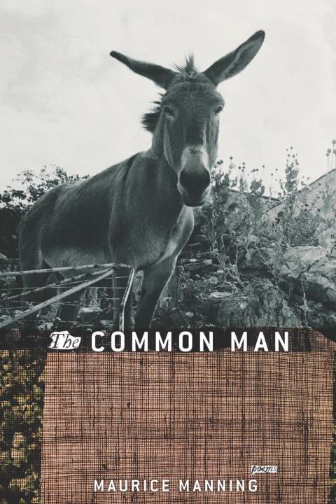Cover image for book The Common Man