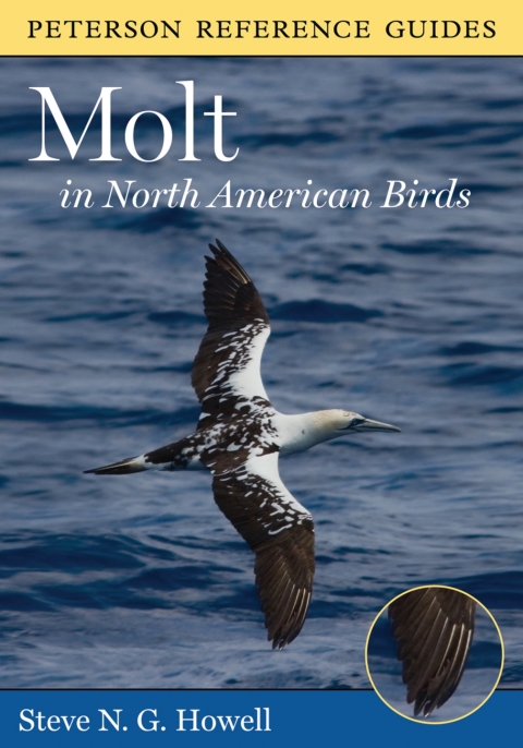 Cover image for book Peterson Reference Guide To Molt In North American Birds