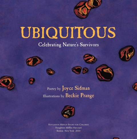 Cover image for book Ubiquitous