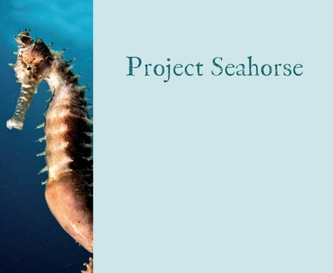 Cover image for book Project Seahorse