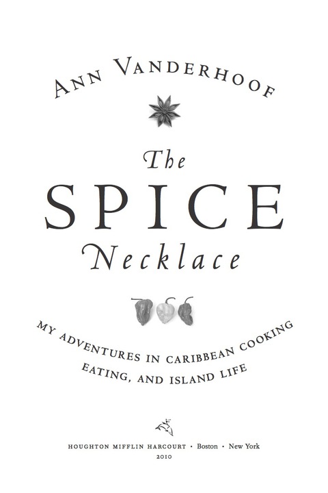 Cover image for book The Spice Necklace