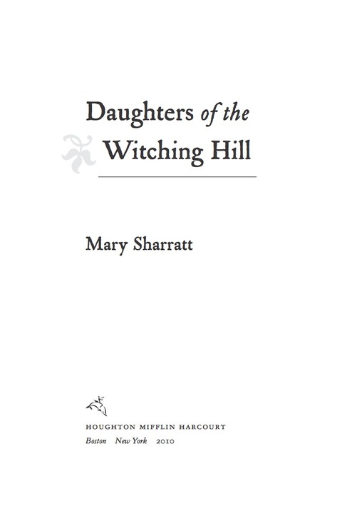 Cover image for book Daughters Of The Witching Hill