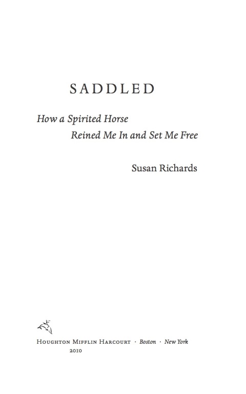 Cover image for book Saddled