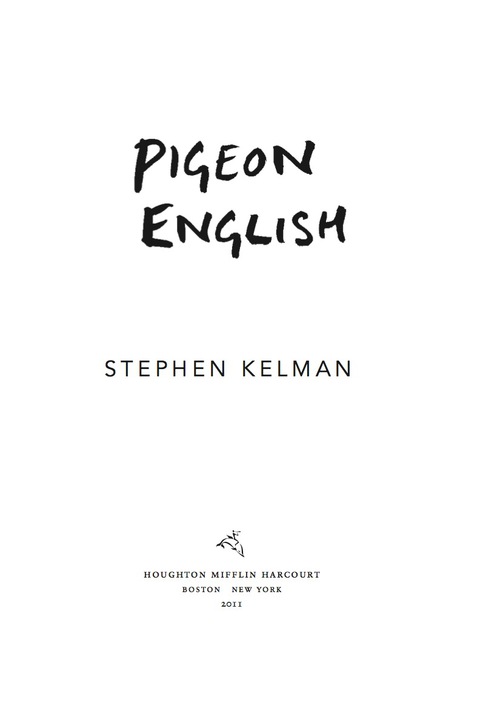 Cover image for book Pigeon English