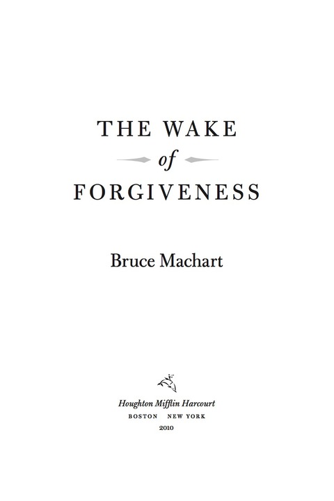 Cover image for book The Wake of Forgiveness