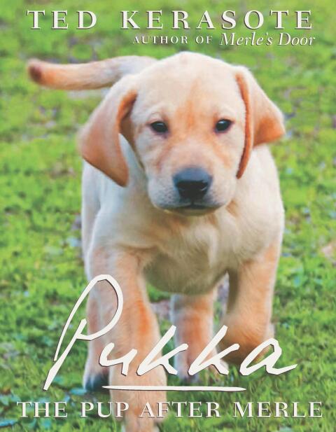 Cover image for book Pukka