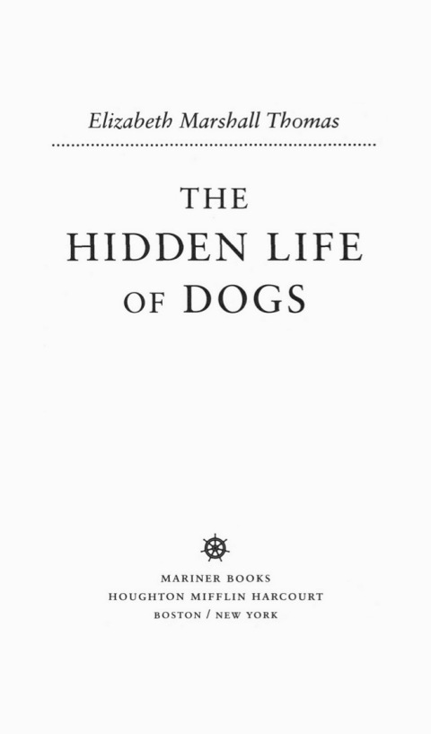 Cover image for book The Hidden Life Of Dogs