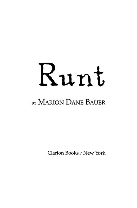 Cover image for book Runt