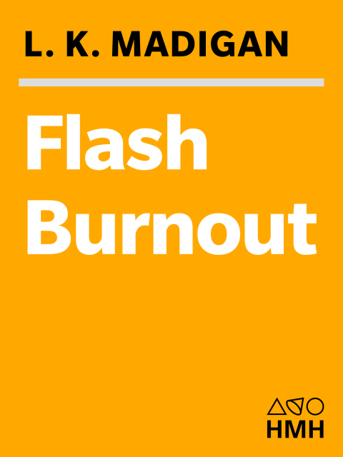 Cover image for book Flash Burnout