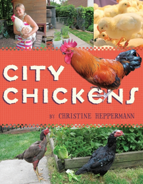 Cover image for book City Chickens
