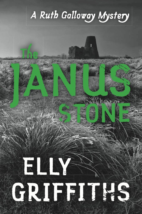 Cover image for book The Janus Stone