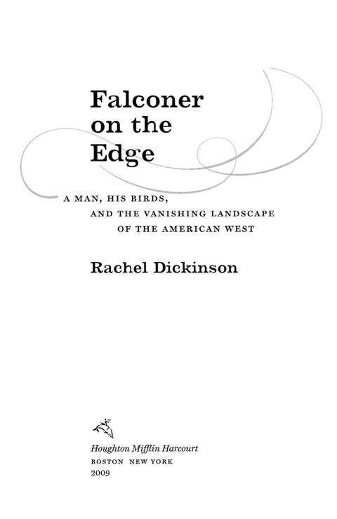 Cover image for book Falconer on the Edge