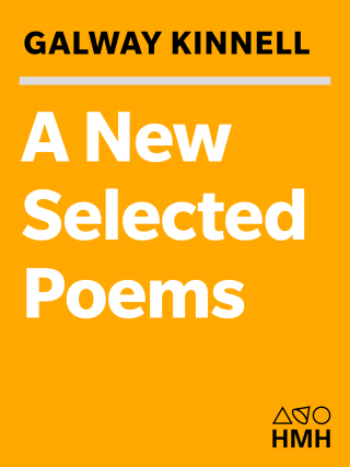 A New Selected Poems