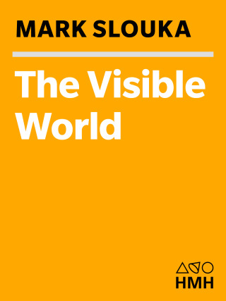 The Visible World