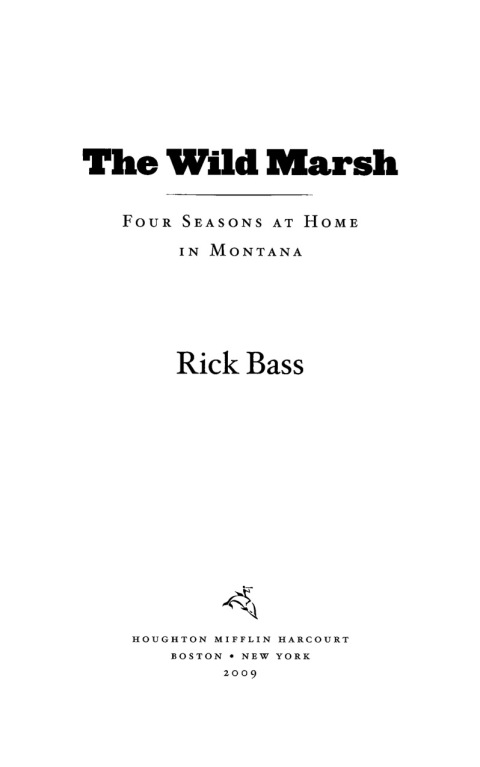 Cover image for book The Wild Marsh