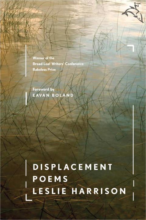 Cover image for book Displacement