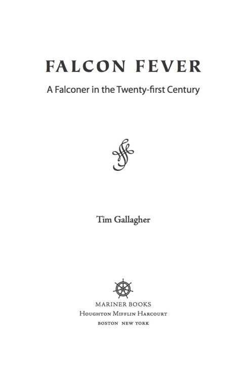 Cover image for book Falcon Fever