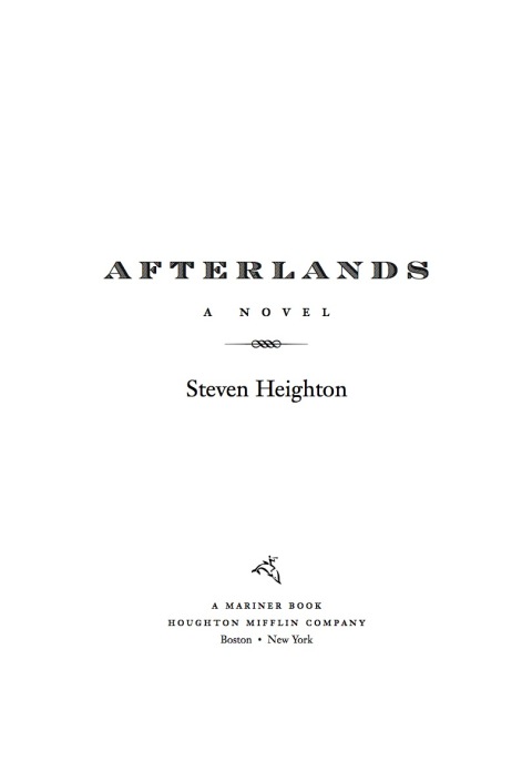 Cover image for book Afterlands