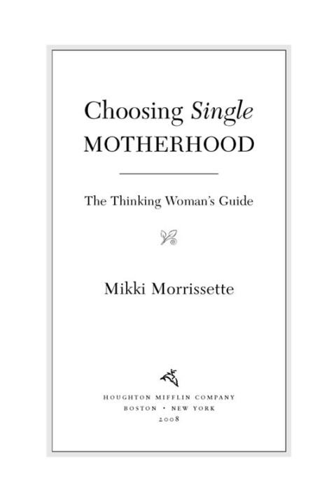 Cover image for book Choosing Single Motherhood