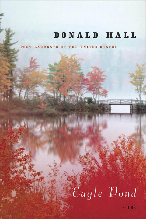 Cover image for book Eagle Pond