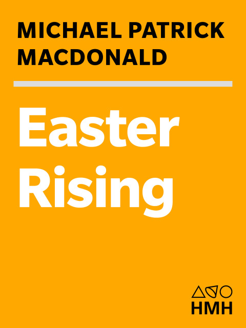 Cover image for book Easter Rising